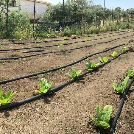 Anacleto 4* Bassacutena