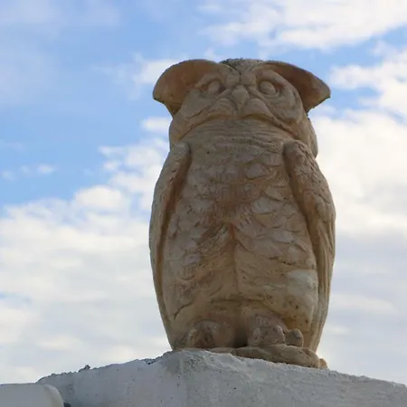 לינה וארוחת בוקר Anacleto