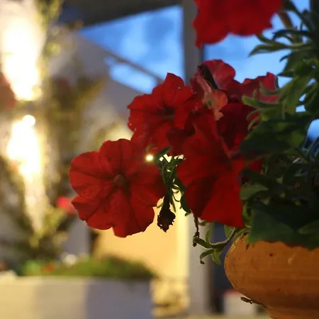 לינה וארוחת בוקר Anacleto Bassacutena