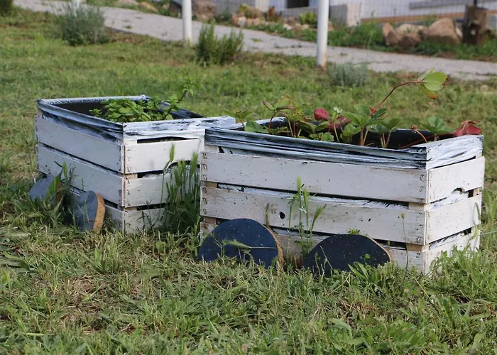 Anacleto לינה וארוחת בוקר Bassacutena