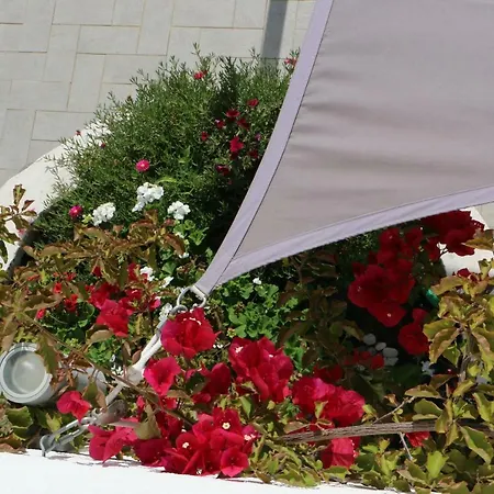 Anacleto Bed & Breakfast 4*