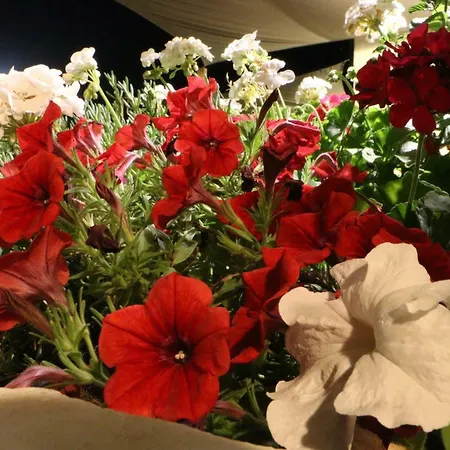 Bed & Breakfast Anacleto