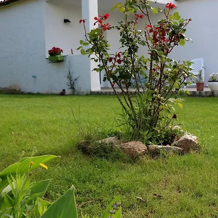 Anacleto Bed & Breakfast