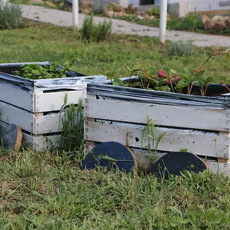 Anacleto Bed & Breakfast Bassacutena